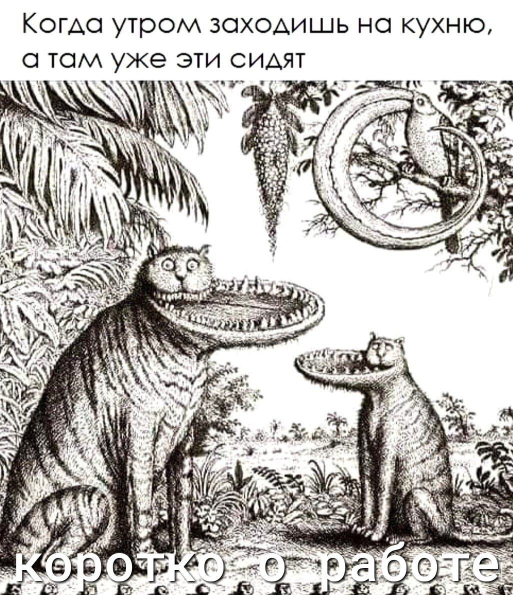 Комо утром заходишь на кухню О ТОМ уже ЭТИ СИАЯТ _