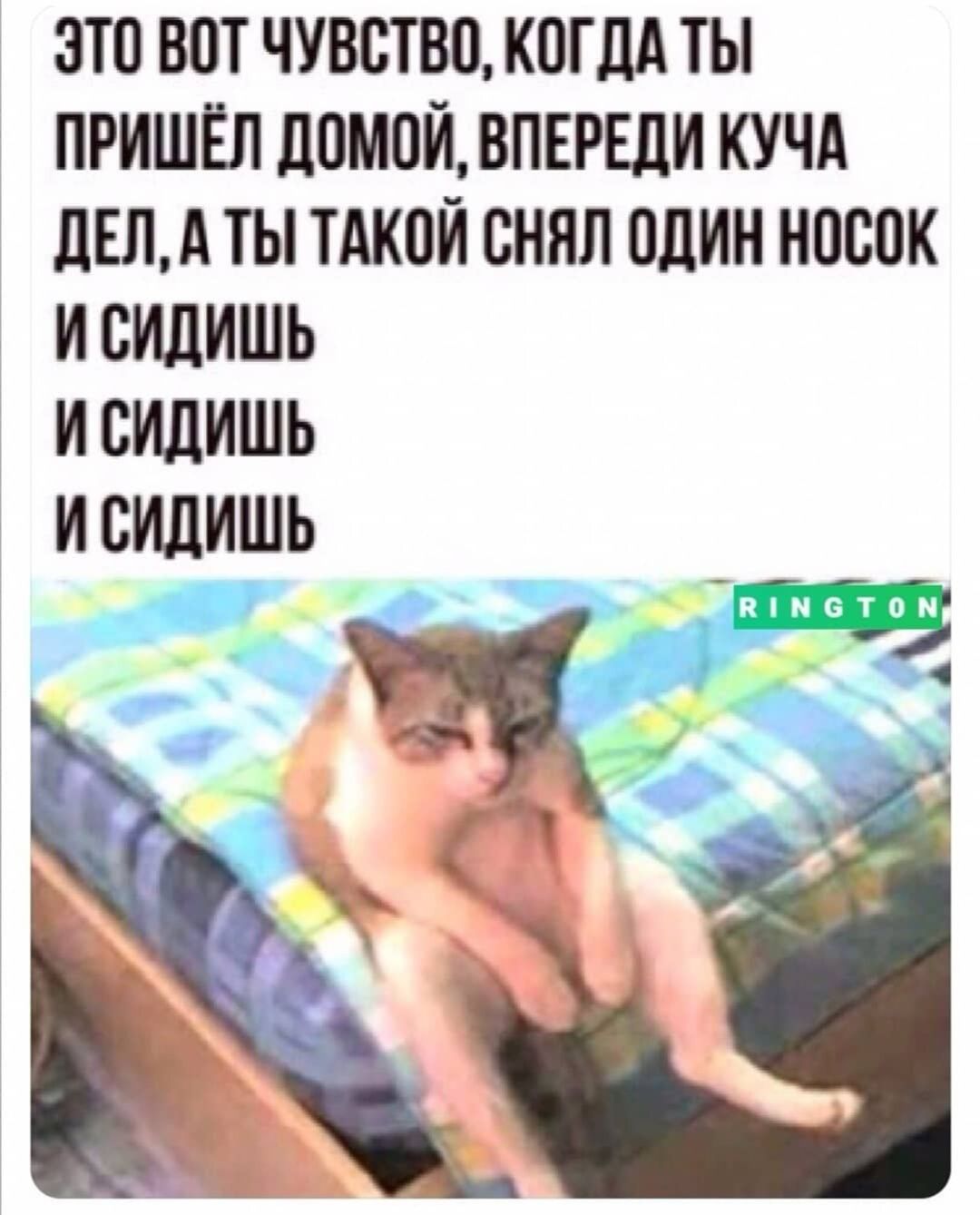 это вот чувство когдд ты пришёл домойвпврши КУЧА дщд ты тдкой снял один носок исилишь исилишь