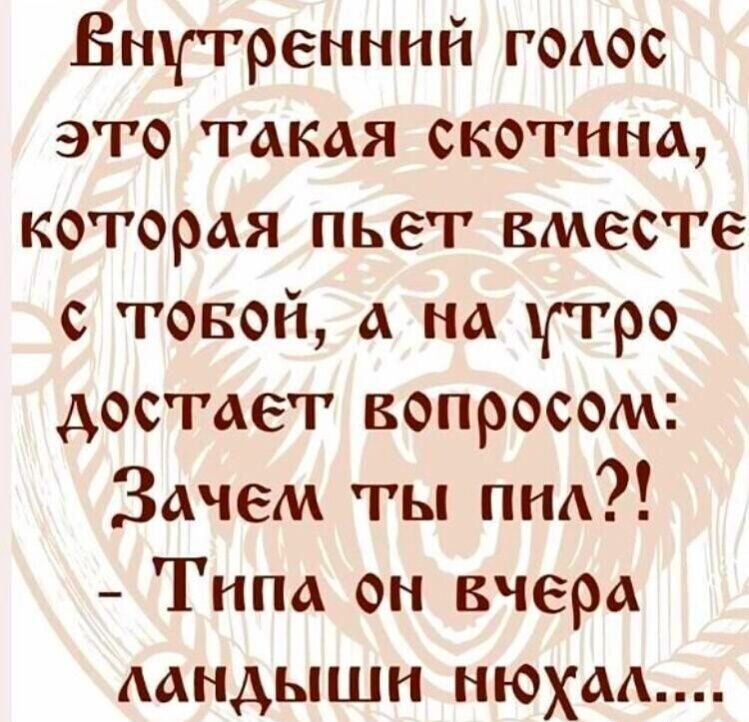 Внутренний гоАос это такая скотина которая пьет вместе с товой а на утро достает вопросом Зачем ты пнд Типа он вчера мндышн нюхом