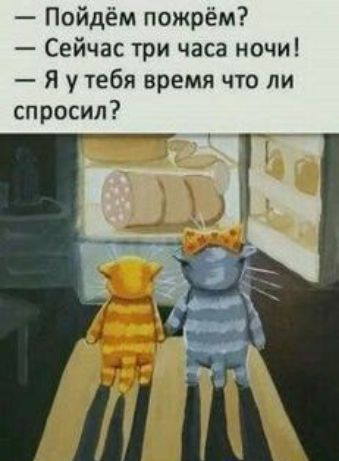 Пойдём пожрём Сейчас три часа ночи Я у тебя время что ли спросил