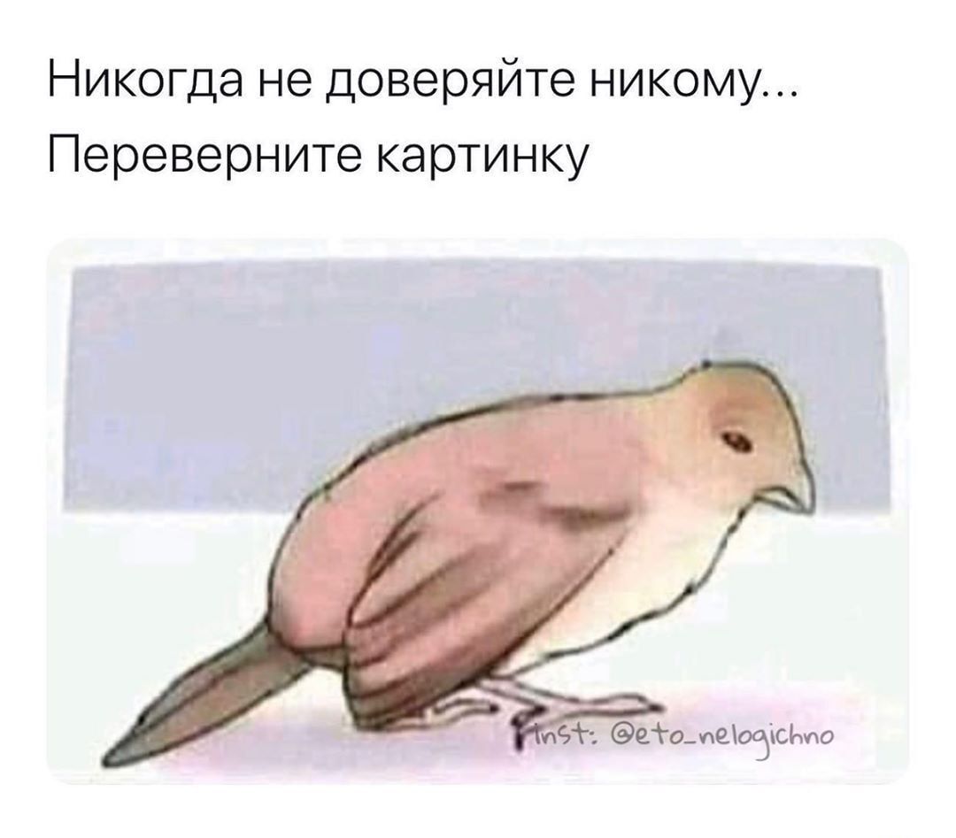 Никогда не доверяйте никому Переверните картинку