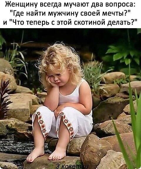 Женщину всегда мучают два вопроса Где найти мужчину своей мечты и Что теперь с этой скотиной делать