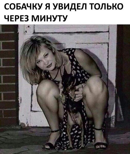 СОБАЧКУ Я УВИДЕЛ ТОЛЬКО ЧЕРЕЗ МИНУТУ