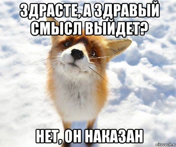 Нетаонинака зана
