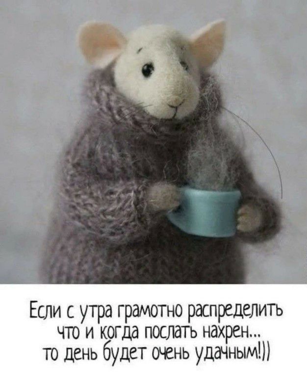 Если с утра грамотно распределить что и когда послать нахрен то день будет очень удачным