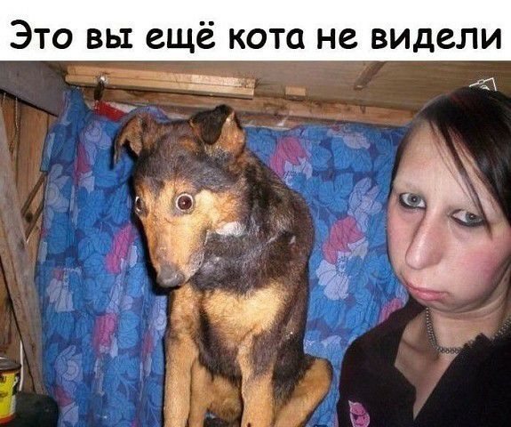 ЭТО ВЫ ЕЩЁ КОТО не видели щ из