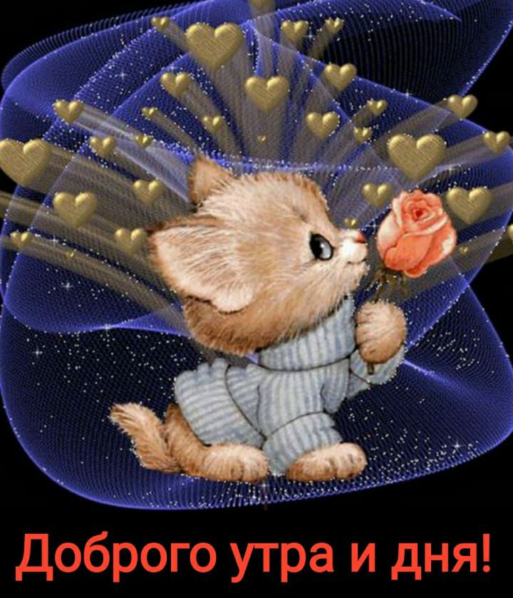 Доброго утра и дня
