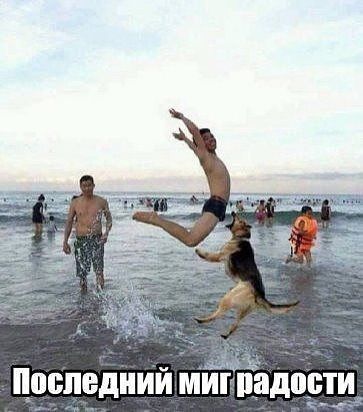 последний Миг падощиА