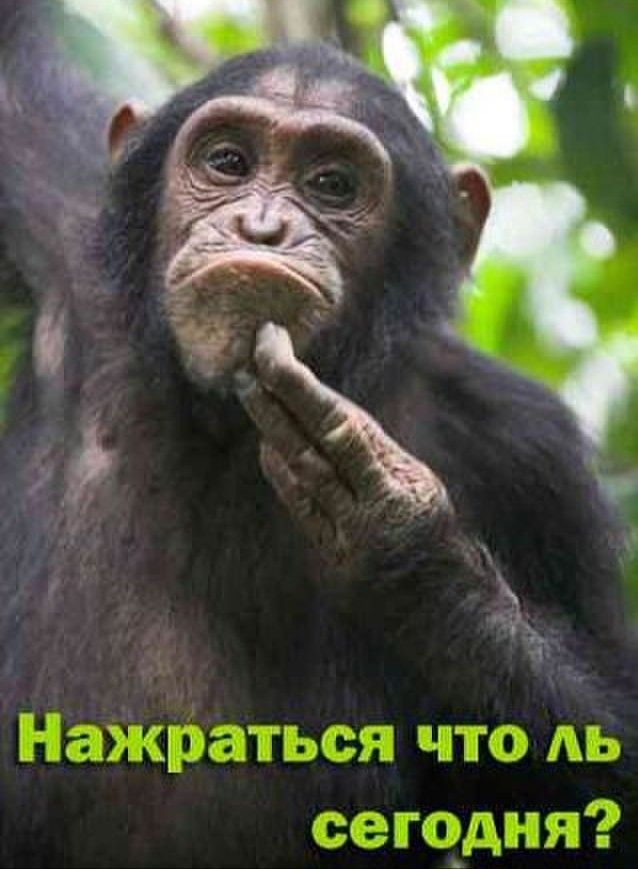 Нажраться что АЬ сегодня