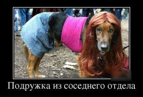 Подружка ИЗ СОССДНСГО отдела