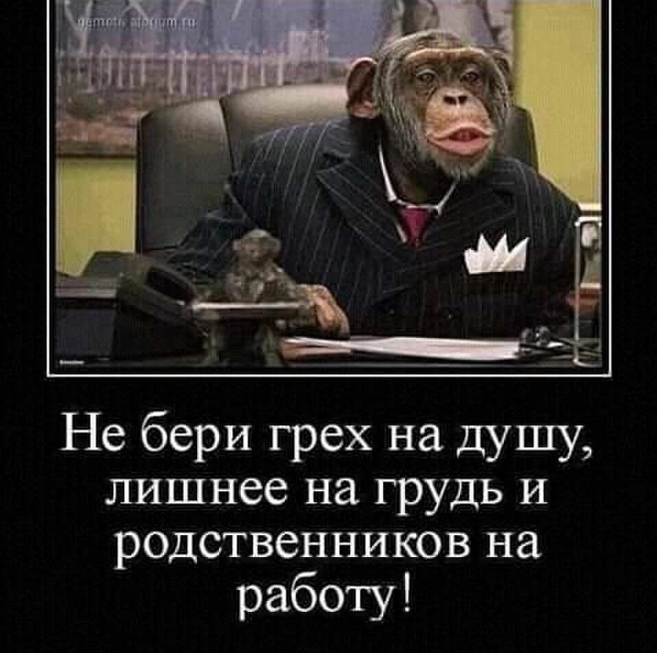 Не бери грех на душу лишнее на грудь и родственников на работу - выпуск  №315215