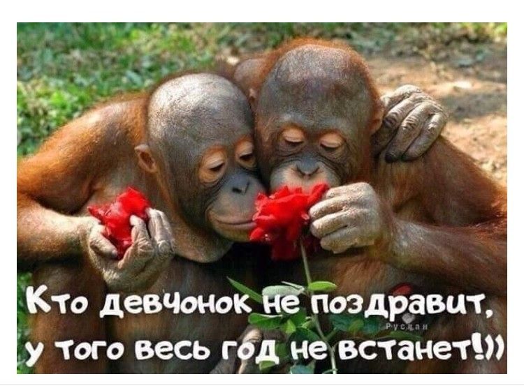 Кто девЧонок ЕЁ поздравит у того весь г д неретанет