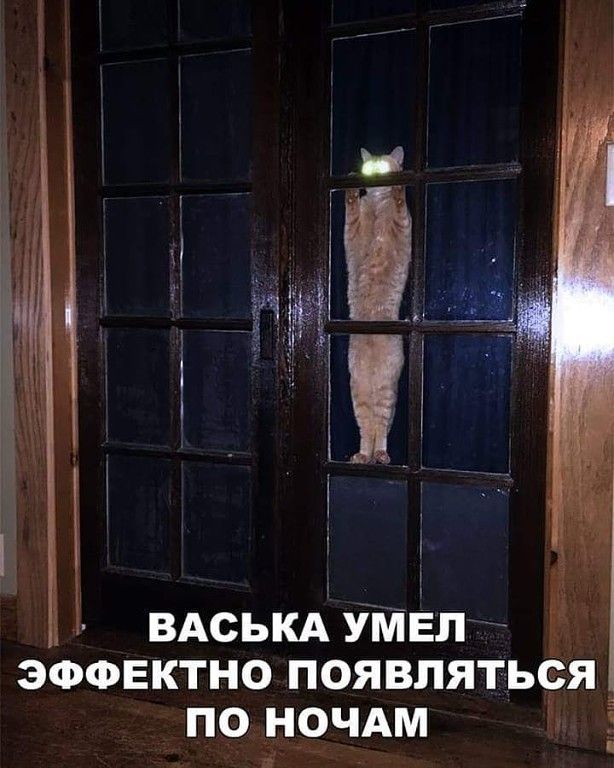 ВАсЬКА УМЕЛ эффектно появлятьея понрчдм д ті