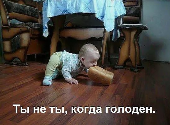 Ты не ты когда голоден