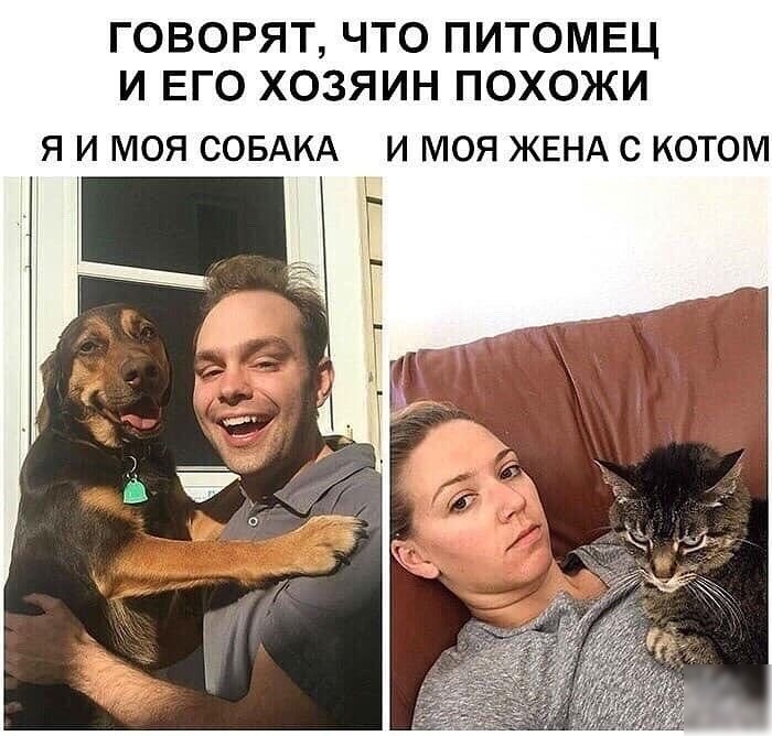 ГОВОРЯТ ЧТО ПИТОМЕЦ И ЕГО ХОЗЯИН ПОХОЖИ Я И МОЯ СОБАКА И МОЯ ЖЕНА С КОТОМ