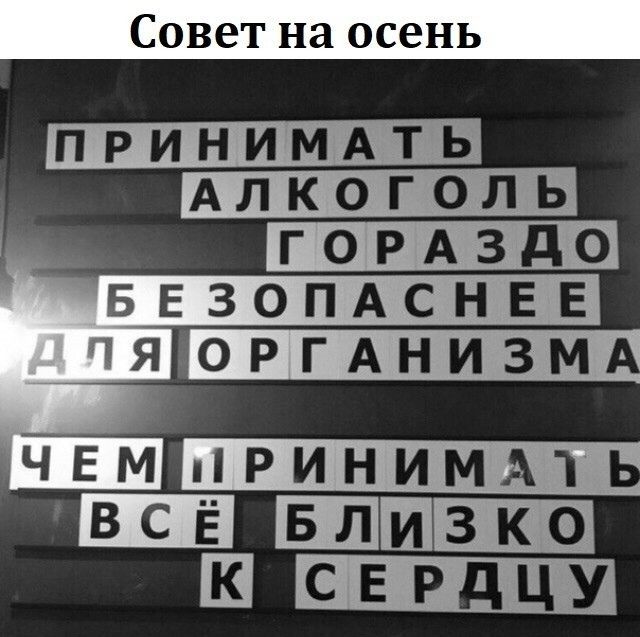 Совет на осень ПРИНИМАТЬ АЛКОГОЛЬ ГОРАЗд 0 БЕЗОПАСНЕЕ ЧЯЮРГАНИЗМ ЧЕМ РИНИМА1