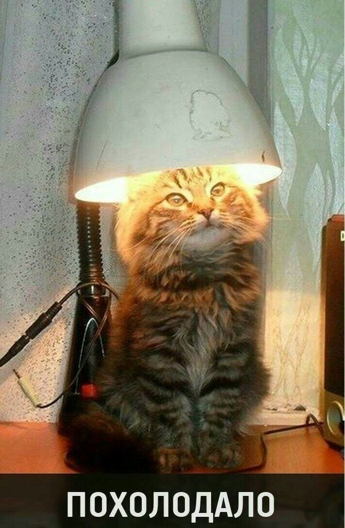 П ОХОЛ ОДАЛО
