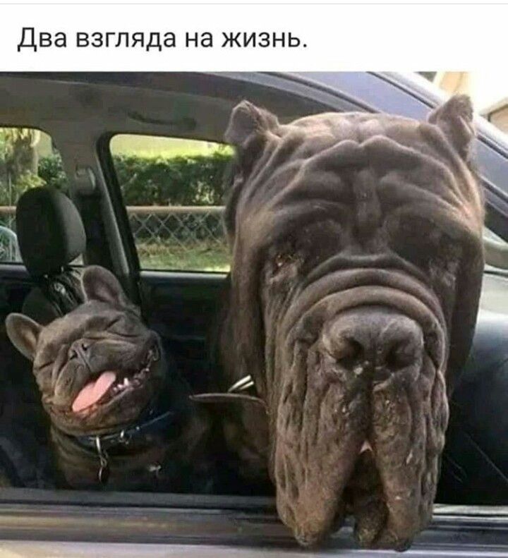 Два взгляда на жизнь