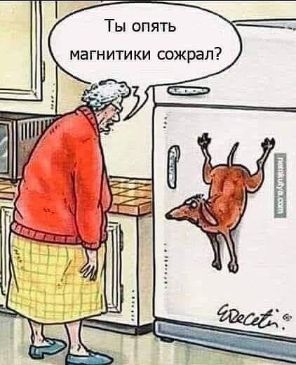 Ты опять МЭГНИТИКИ сожрал