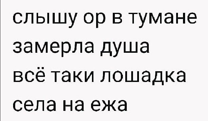 слышу ор в тумане замерла душа всё таки лошадка села на ежа