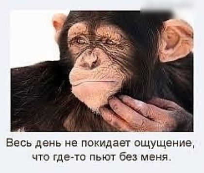 Весь день не покидаы ощущение ЧТО где то ПЬЮТ без МЕНЯ