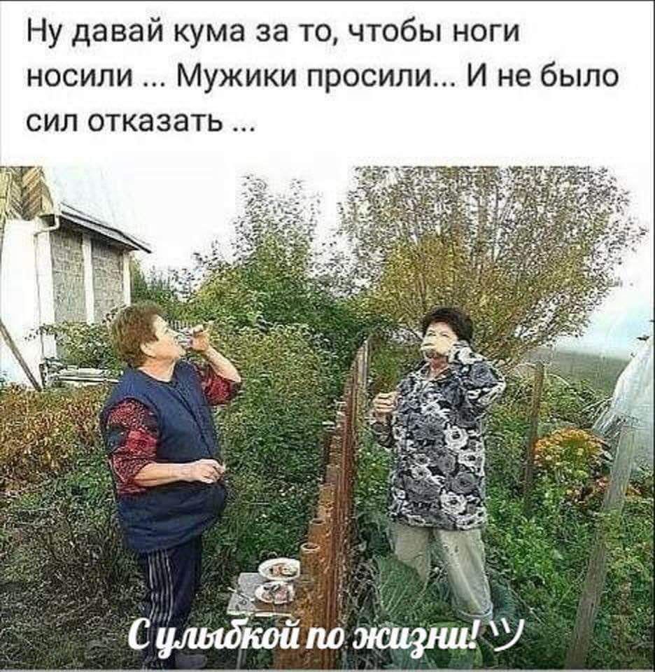 Ну давай кума за то чтобы ноги носили Мужики просили И не было сил отказать