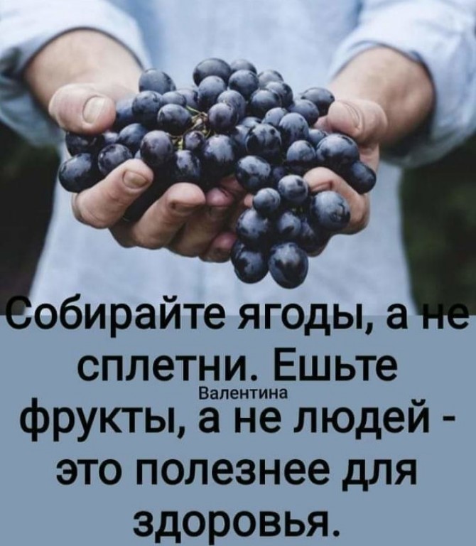 обирайте ягоды а сплетві ЩинЁшьте фрукты а не людей это полезнее для здоровья