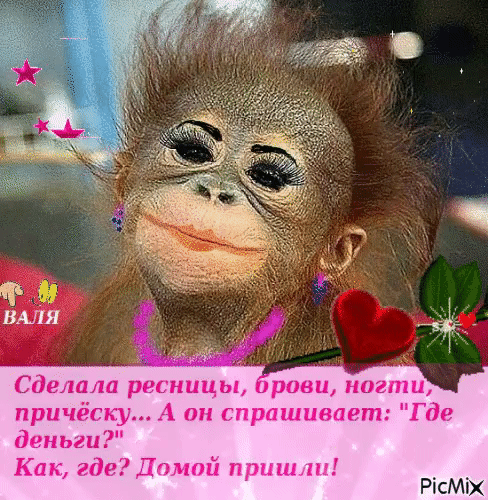 РісМіХ