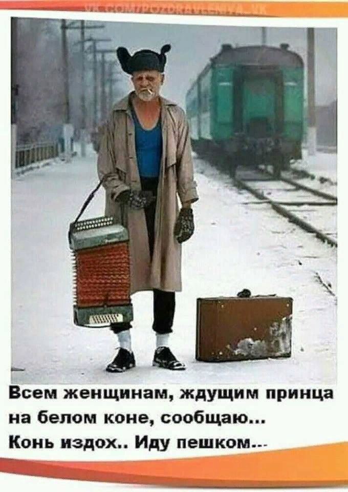 Всем женщинам ждущим принца на белом коне сообщаю Конь издох Иду пешком