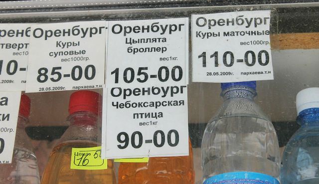 енЕоренбурГ Оренбур верт Куры Цыплята Бролпер