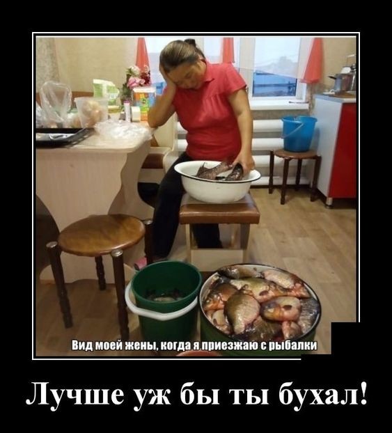 4 Лучше уж бы ты бухал
