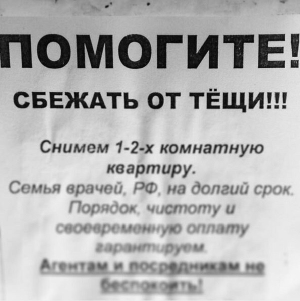 _ ПОМОГИТЕ СБЕЖАТЬ ОТ ТЁЩИ Снимем 1 2х комнатную квартиру тм лчъшш С Чит п А или с М _ или