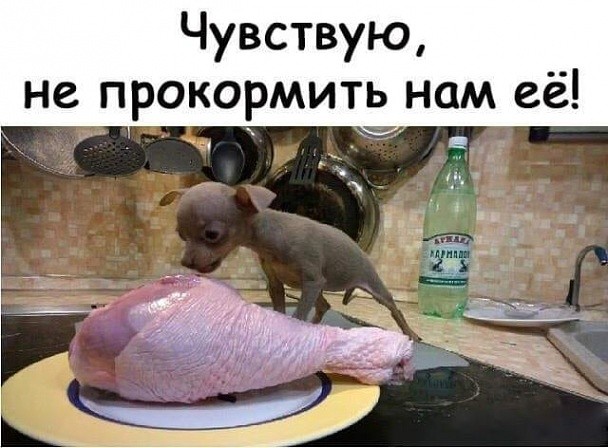 Чувствую не прокормить нам её