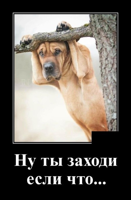 Ну ты заходи если что