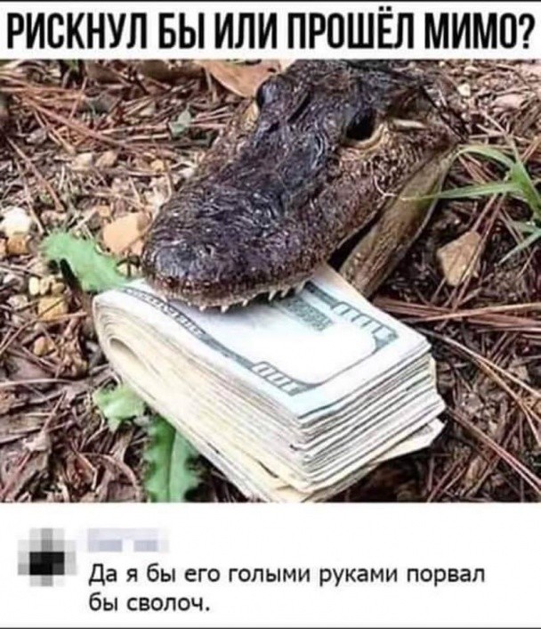 РИСКНУЛ Б_Ы ИЛИ ПРОШЕЛМИМ07 Да я бы его голыми руками порвал бы сволоч