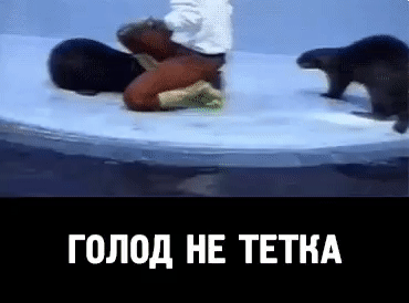 голод НЕ ТЕТНА