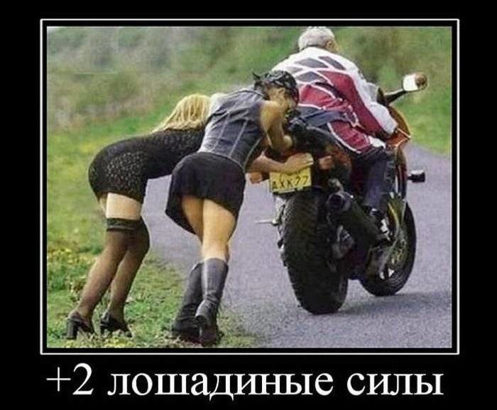 2 лошадиные силы
