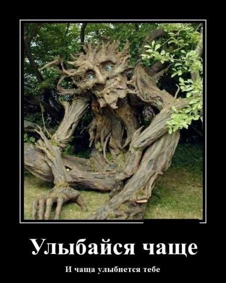 Улыбайся чаще и ч щп улыбнется тебе
