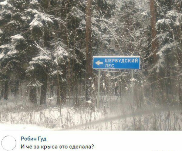 Робин Гуд И че за крыса это сделала