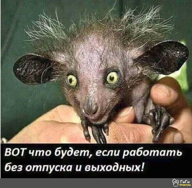 ВОТ что будет если работать без отпуска и выходных