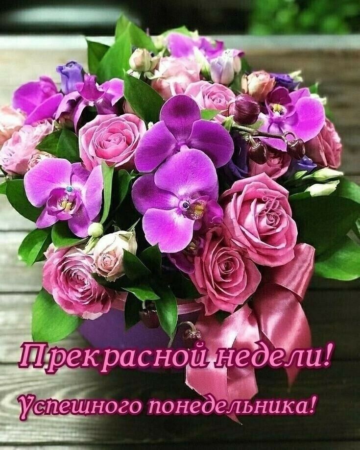 ь Ад рекрасНоиціе ели Уопсшново понсдс іьника