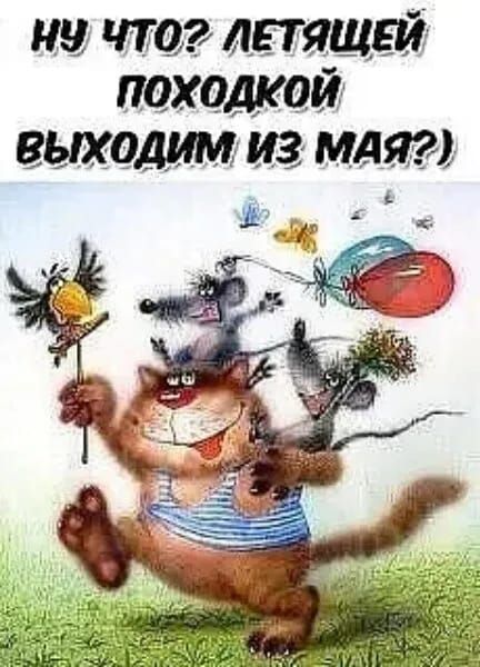 мы что детищем походкой вшодищ из мдя г 7 __уд _