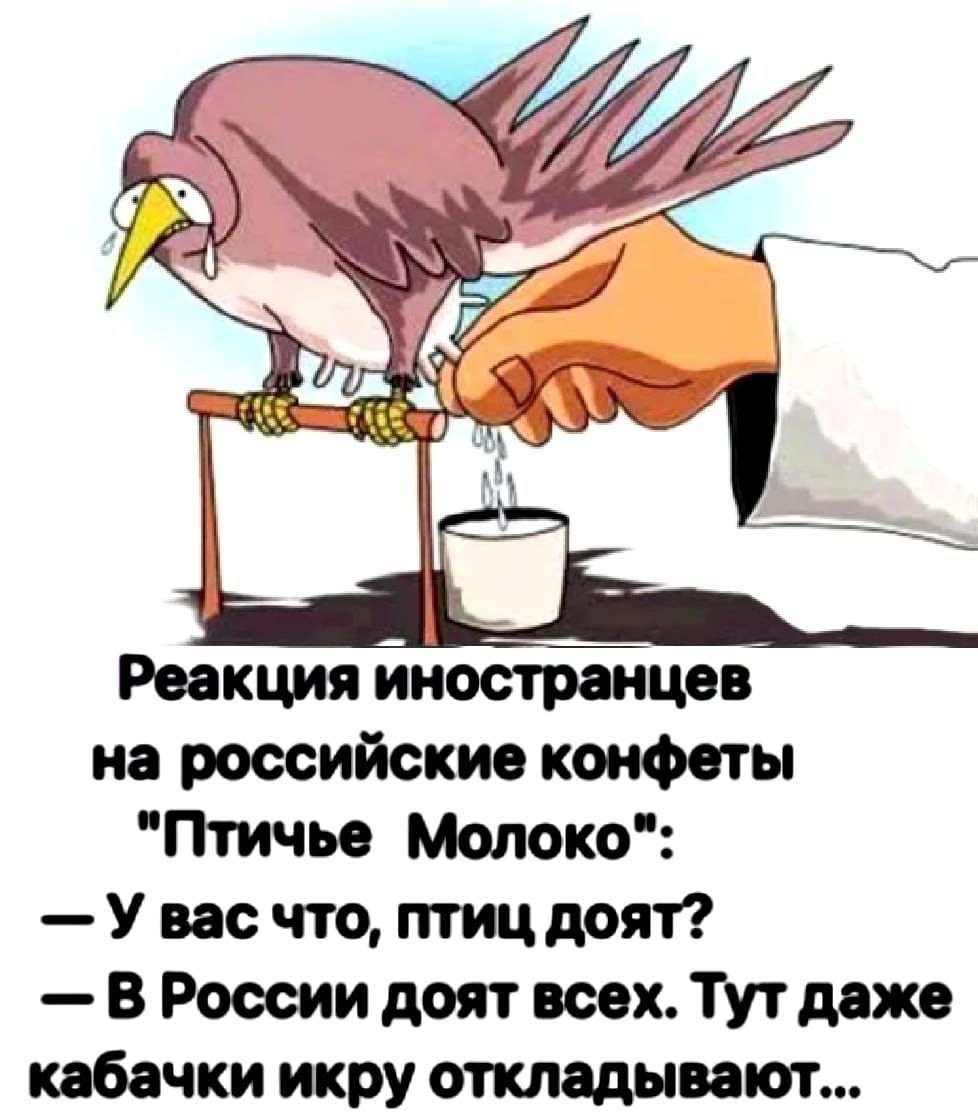 Реакция иностранцев на российские конфеты Птичье Молоко У вас что птиц доят В России доят всех Тут даже юбочки икру откладывают