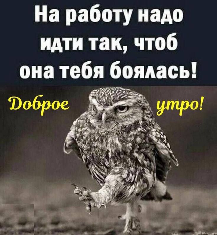 На работу надо идти так чтоб она тебя боялась