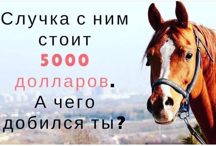 Спучка с ним стоит 5000 цдрчг А чего _ добилёЁтБп