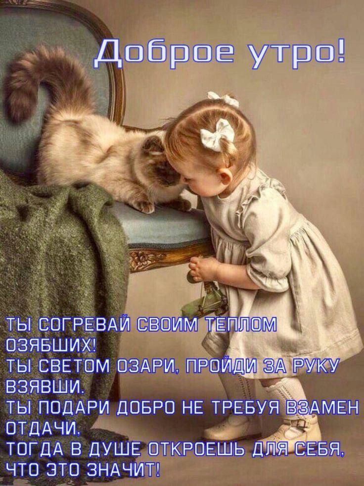 тн ПО 0 и тыкы тггшк в д что эта шт