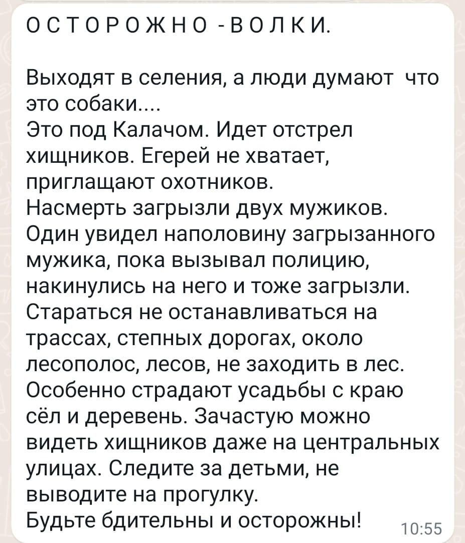 ОСТОРОЖНО ВОЛКИ Выходят в селения а люди думают что это собаки Это под Калачом Идет отстрел хищников Егерей не хватаеТ приглашают охотников Насмерть аагрызли двух мужиков Один увидел наполовину загрызанного мужика пока вызывал полицию накинулись на него и тоже загрызли Стараться не останавливаться на трассах степных дорогах около лесополос лесов не заходить в лес Особенно страдают усадьбы с краю с