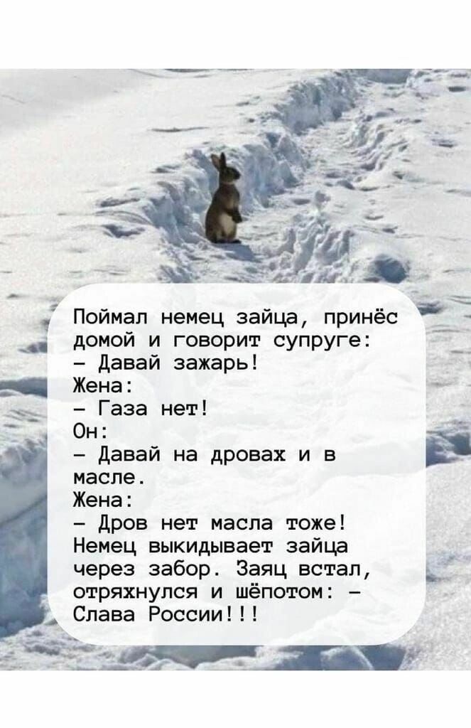 Поймал немец зайцд принёс домой и говорит супруге ці __ давай зажарь _ Жена Газа нет Он давай не дровах и в масле Жена дров нет масла тоже Немец выкидывает зайца через забор Заяц встал В отряхнулся и шёпотом Слава России