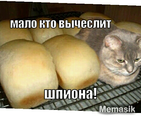 мало кто ВЫЧВСПИТ