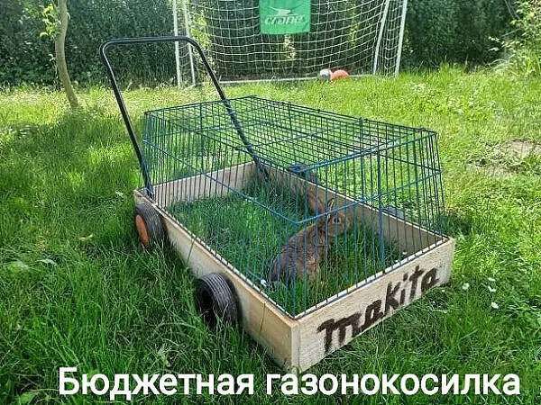 _1 _ Ёщшйётная нгЁ эбндкосидка